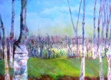 promenade en bocage - Au pays des bouchures