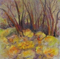 Talus - paysages